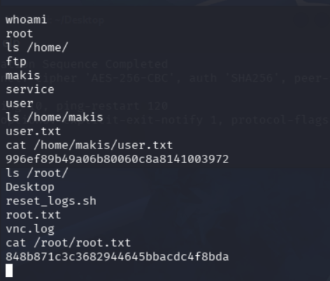 Lectura de user.txt y root.txt